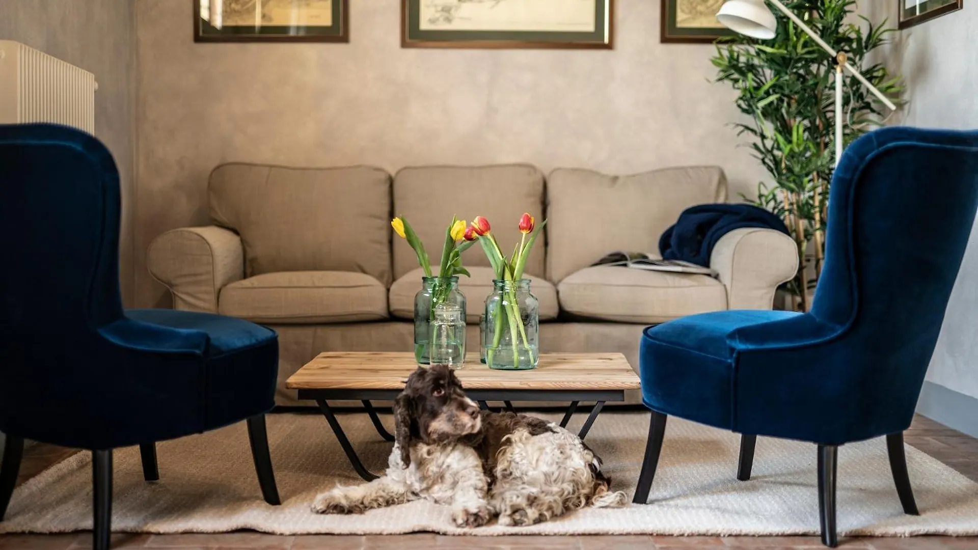 Farm stay Foresteria San Rocco Borgoluce Susegana